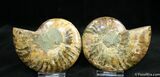 Inch Polished Pair From Madagascar #1447-2